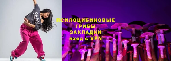 PSILOCYBIN Алексеевка