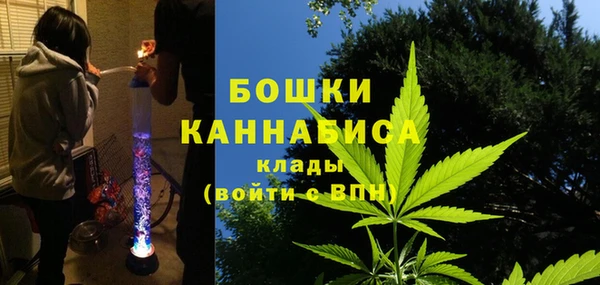 PSILOCYBIN Алексеевка