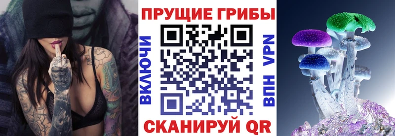 OMG ссылки  Зубцов  Псилоцибиновые грибы GOLDEN TEACHER  наркошоп 
