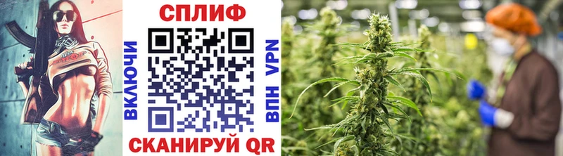 где продают Зубцов Каннабис LSD WEED